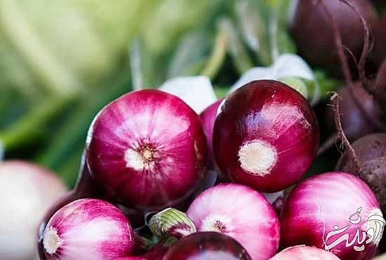 بخور و نخور‌های پیشنهادی برای سرمایی‌ها